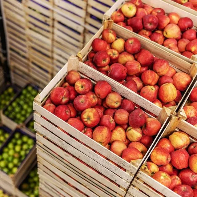 thumbnail for publication: Food Safety on the Farm: Good Agricultural Practices and Good Handling Practices—Transportation